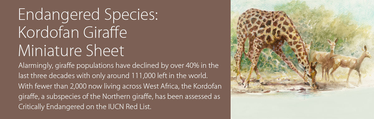 Endangered Species: Kordofan Giraffe